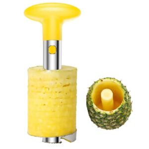 Affetta Ananas Galileo Acciaio Tagliananas Taglia a Fette aspirale